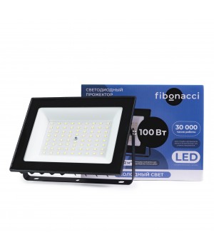 Fibonacci Светодиодный (LED) прожектор 100W/6500K/IP65